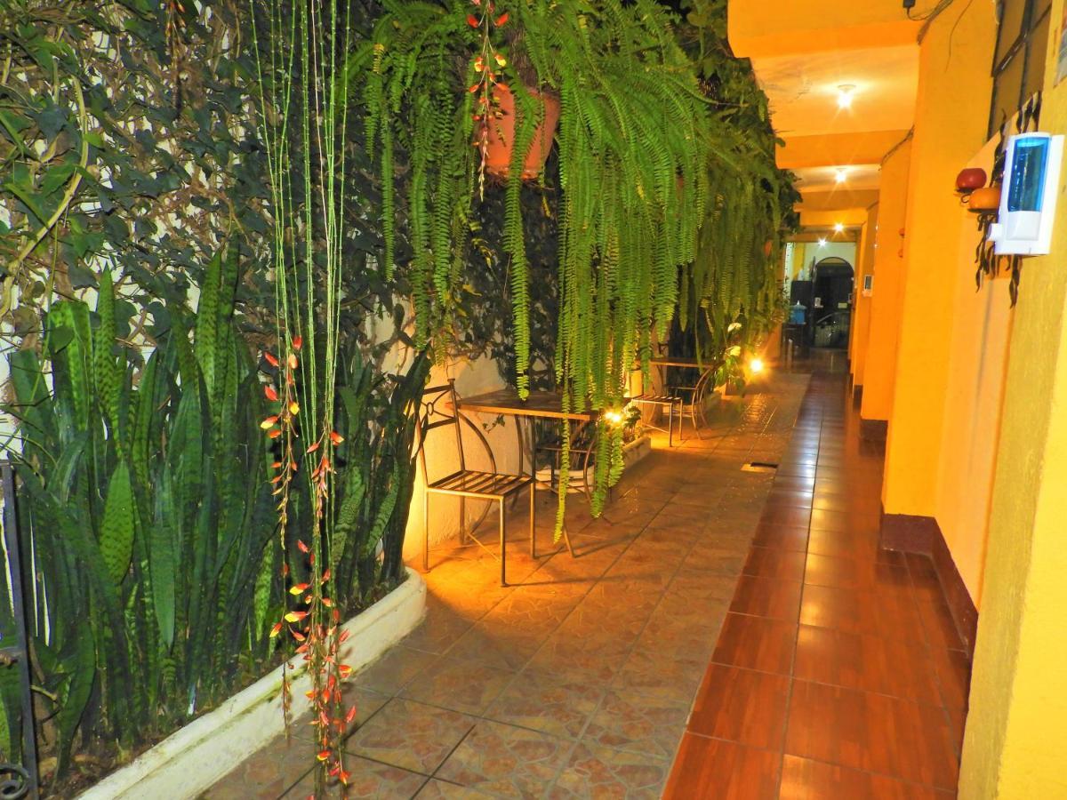 Hostal Antigua Exterior photo
