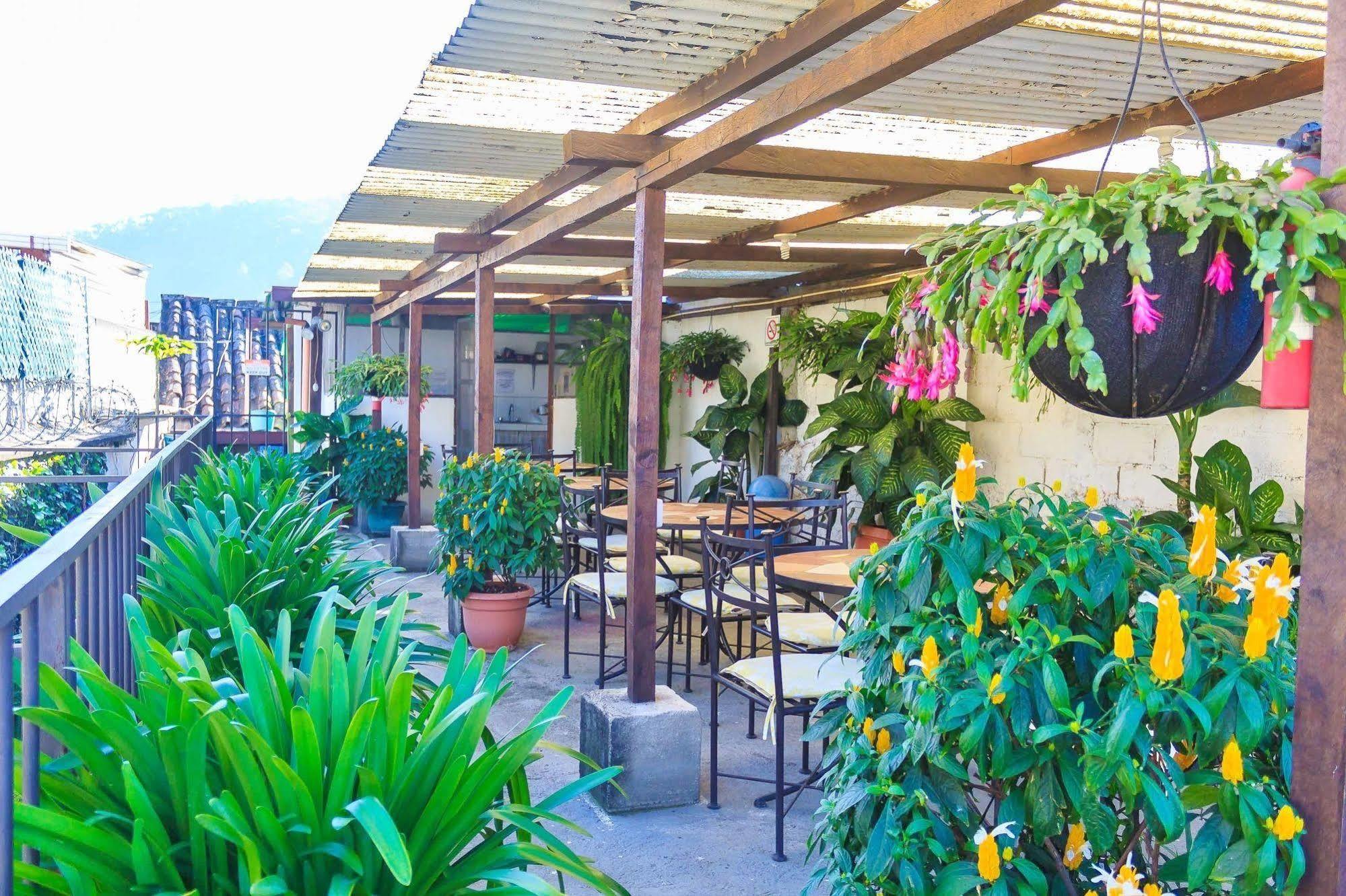 Hostal Antigua Exterior photo