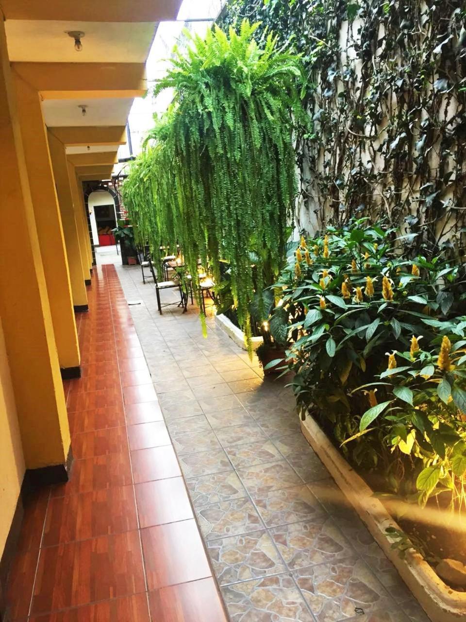 Hostal Antigua Exterior photo