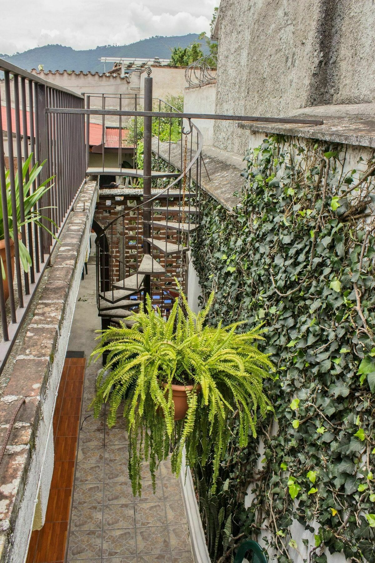 Hostal Antigua Exterior photo